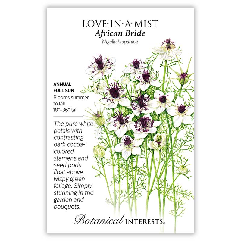 love-in a mist flower seeds African Bride Love-In-A-Mist Seeds