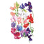 Elegance Blend Sweet Pea Seeds