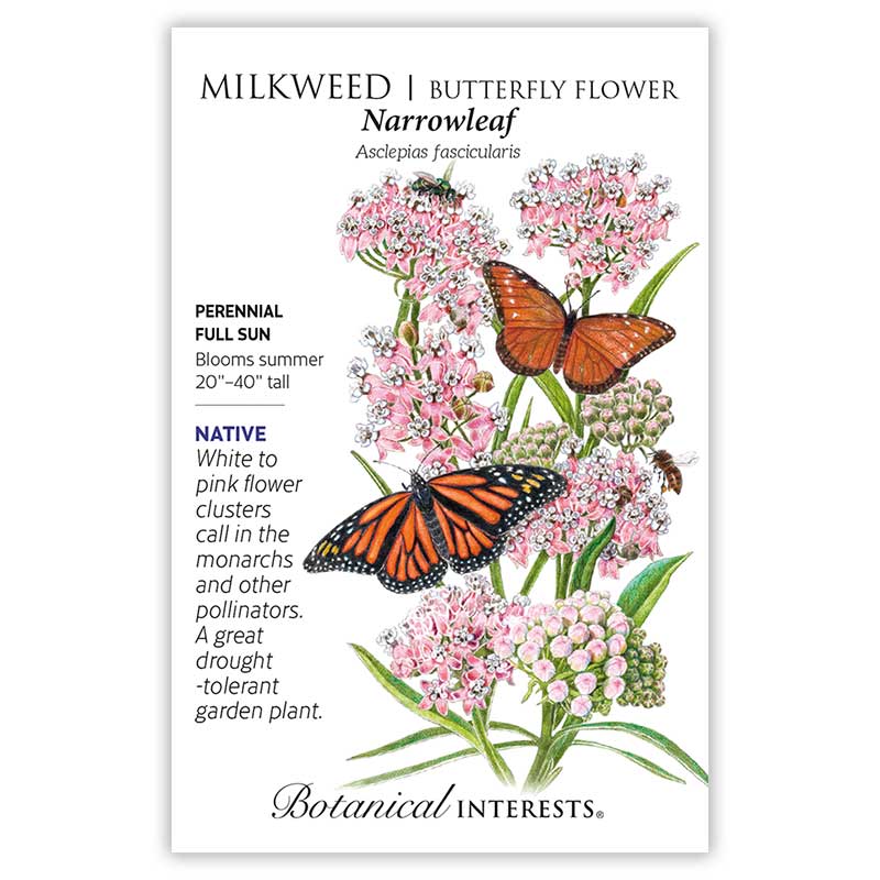 Narrowleaf Milkweed/Butterfly Flower Seeds