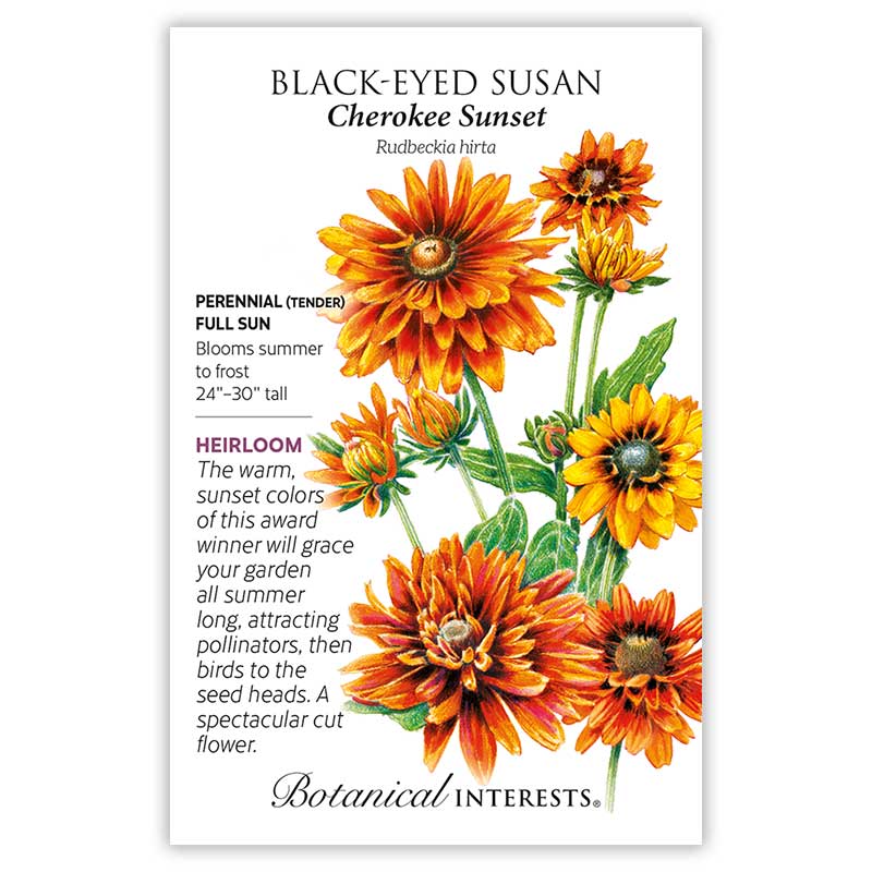 Cherokee Sunset Black-Eyed Susan Seeds Product Image