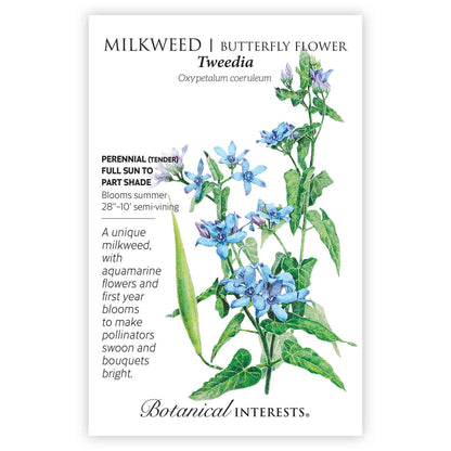 Tweedia Milkweed/Butterfly Flower Seeds