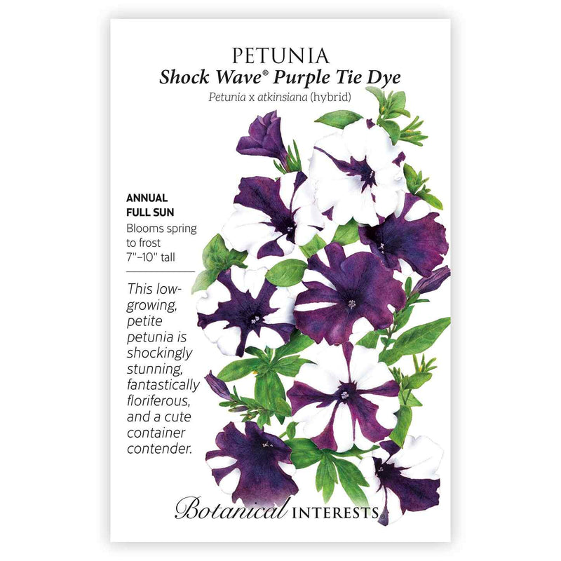wave petunia flower seeds Shock Wave Purple Tie Dye Petunia Seeds – Epic Gardening