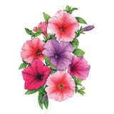 Garden Party Blend Petunia Seeds