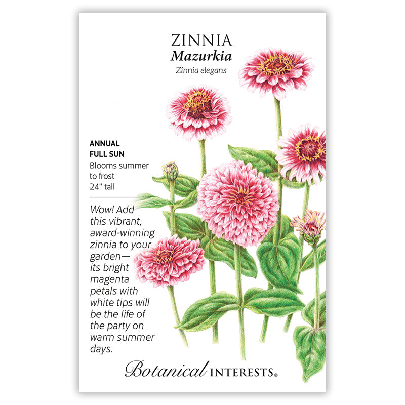 Mazurkia Zinnia Seeds Product Image