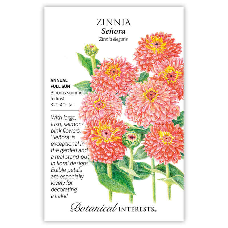 Senora Zinnia Seeds