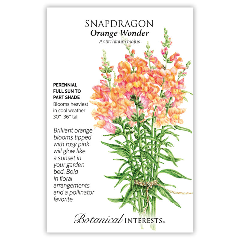 Orange Wonder Snapdragon Seeds Product Image