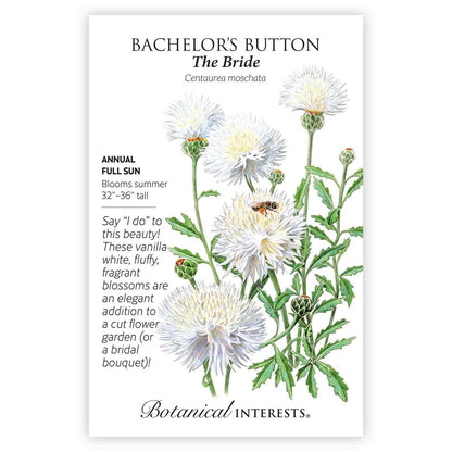 The Bride Bachelor's Button Seeds