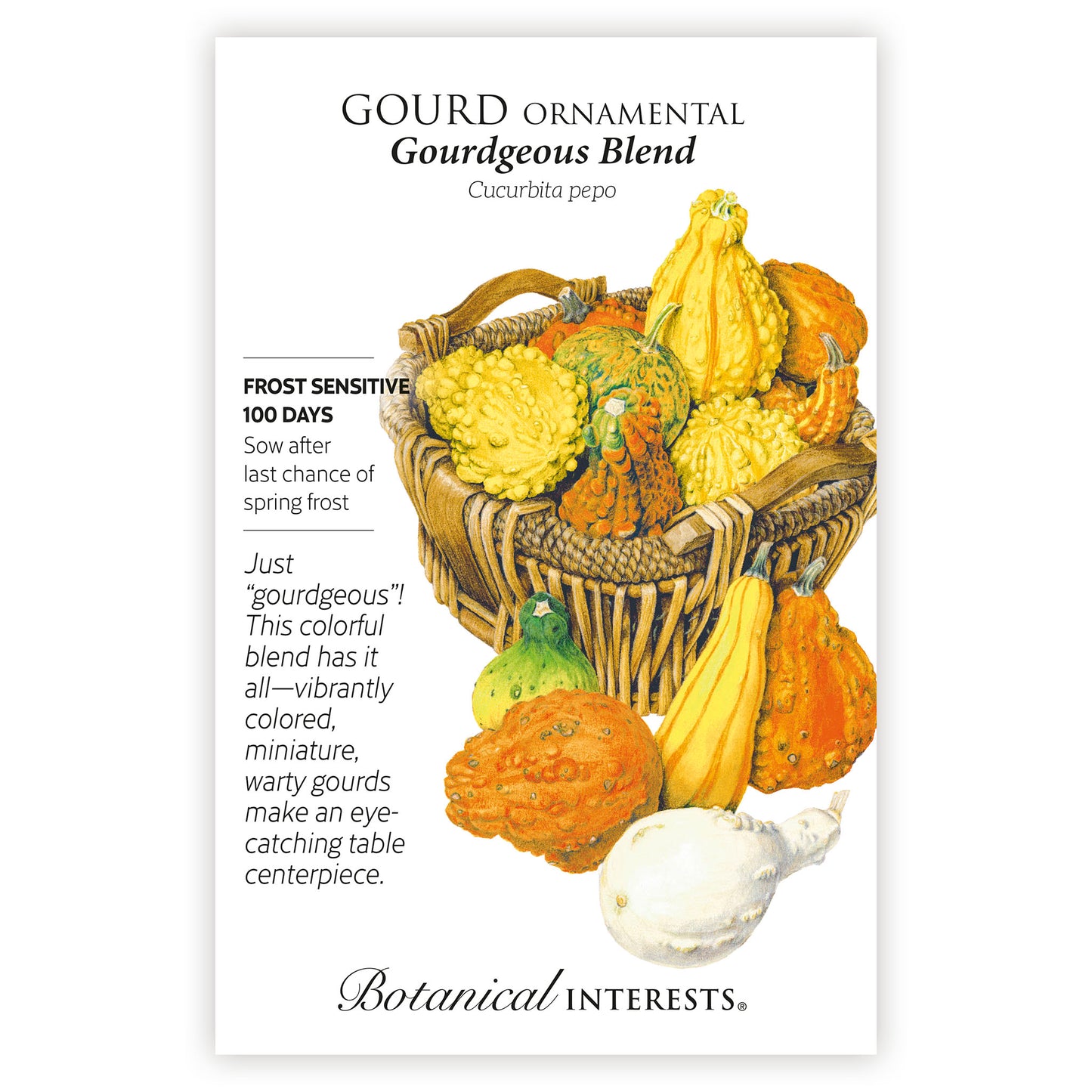 2026 New Varieties Seed Bundle