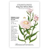 King Size Silvery Rose Strawflower Seeds