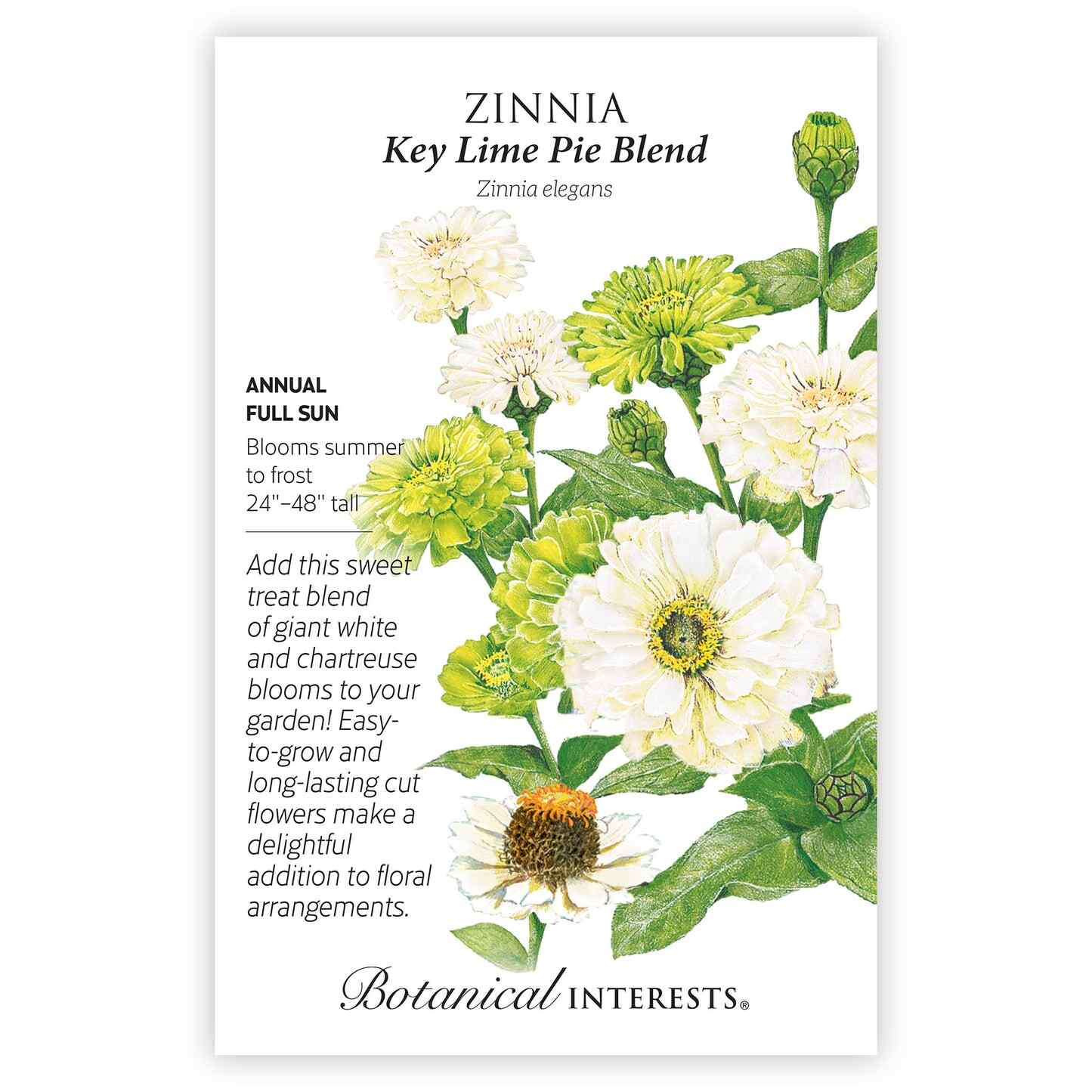 Key Lime Pie Blend Zinnia Seeds