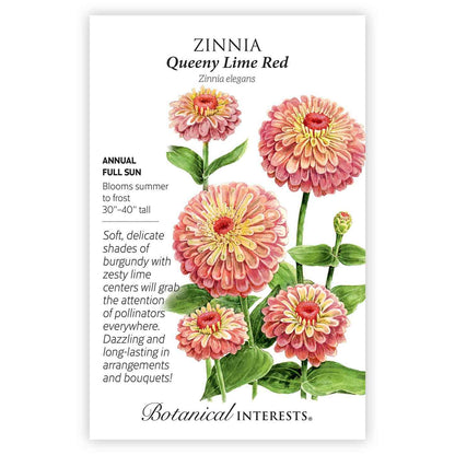 Queeny Lime Red Zinnia Seeds