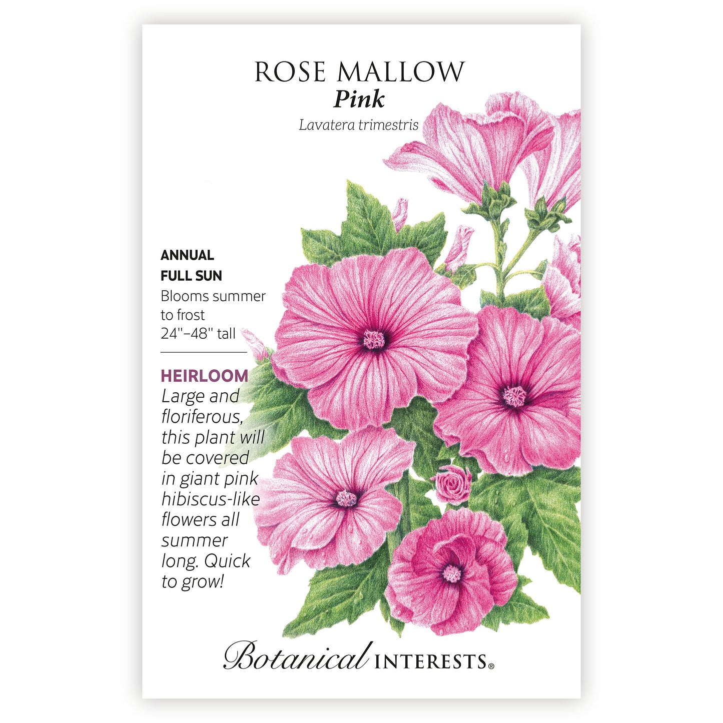 Pink Rose Mallow Seeds