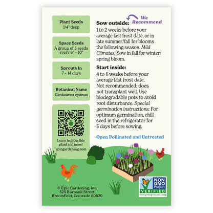 Polka Dot Mix Bachelor's Button