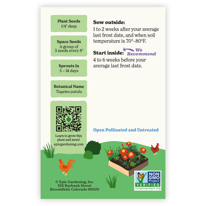 Red Cherry French Marigold