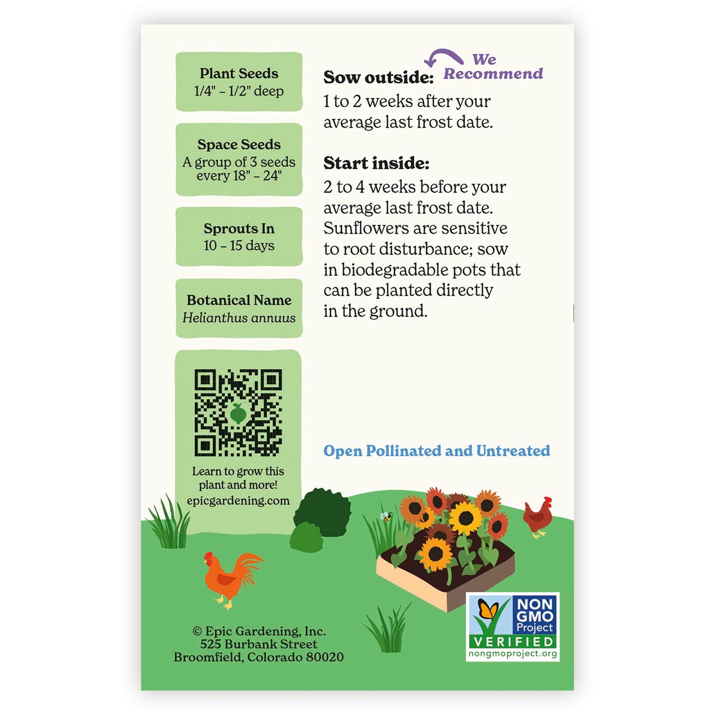 Earthwalker Sunflower