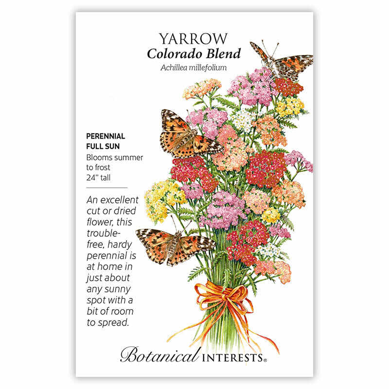 planting flower seeds in colorado Colorado Blend Yarrow Seeds