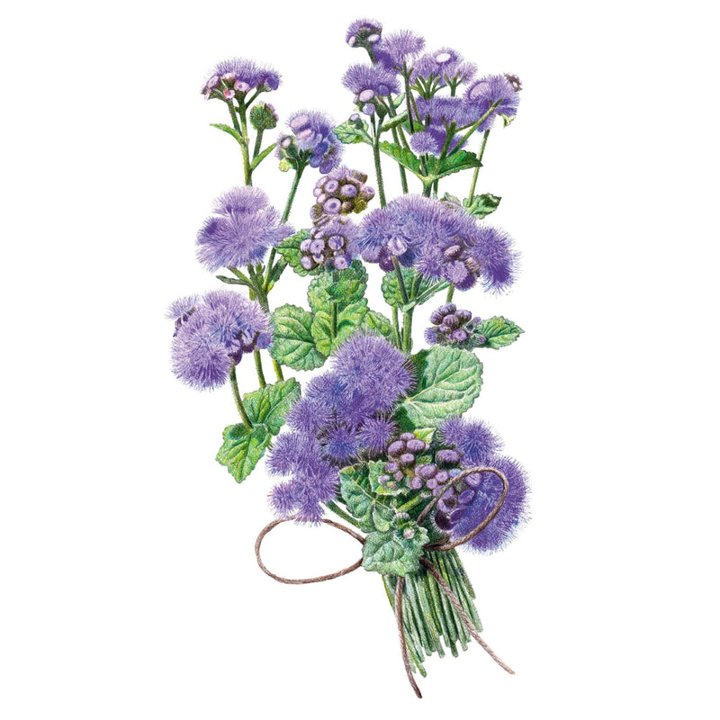 Blue Planet Ageratum  Seeds
