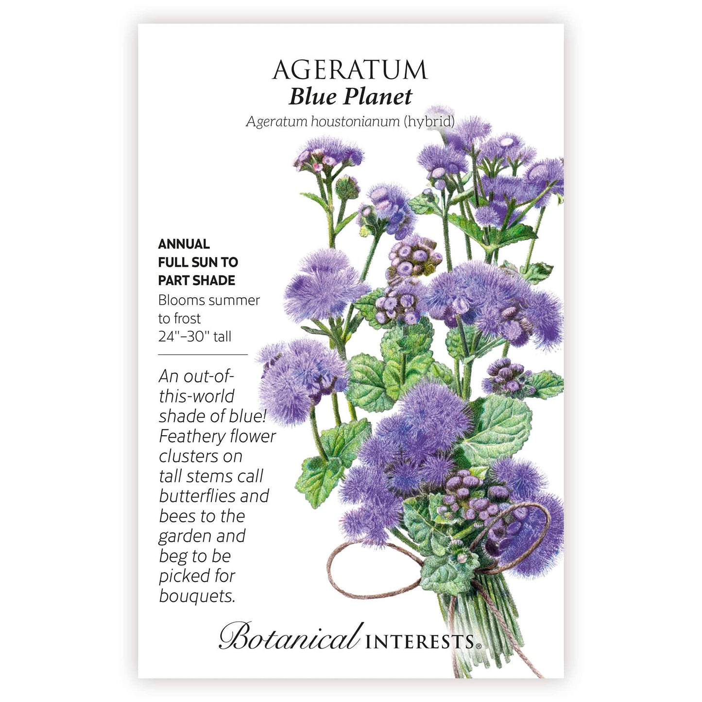 Blue Planet Ageratum  Seeds