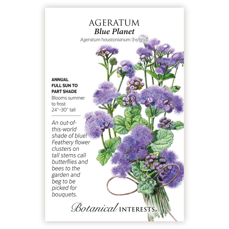 Blue Planet Ageratum  Seeds