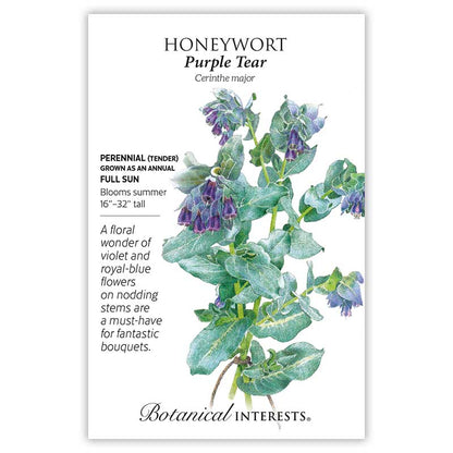 Purple Tear Honeywort Seeds