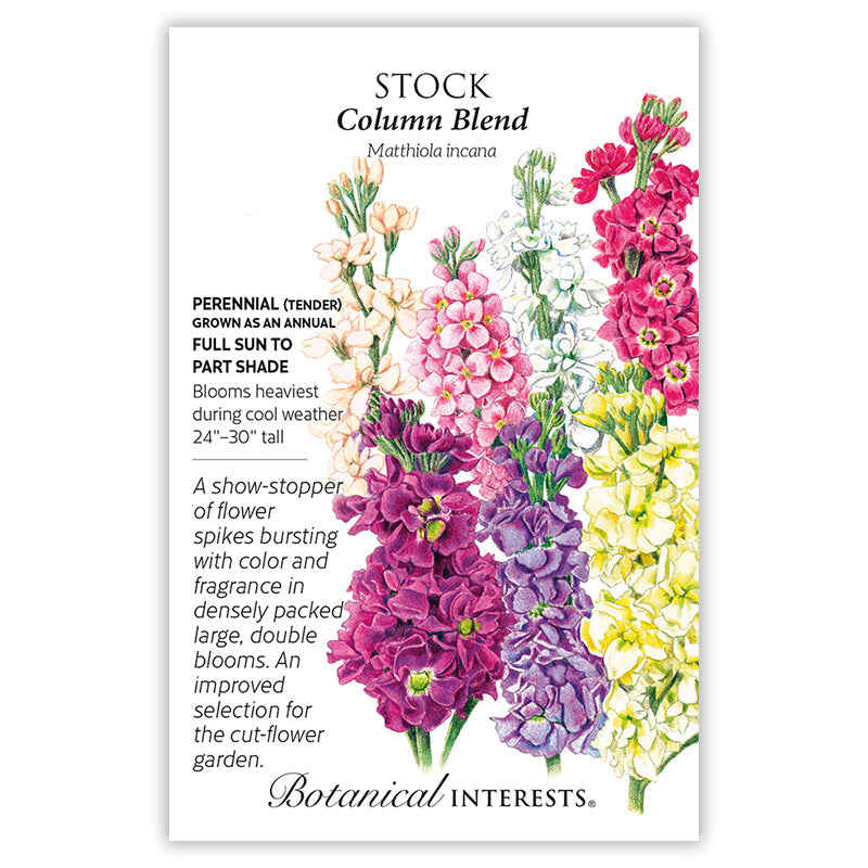 stock plant seeds Column Blend Stock Seeds