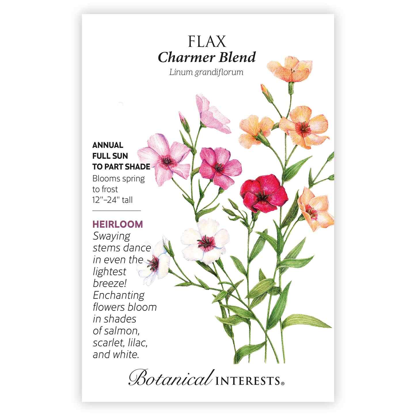 lin lan flower seeds Charmer Blend Flax Seeds | Flower Seeds | Heirloom Flower Seeds | Botanical Interests