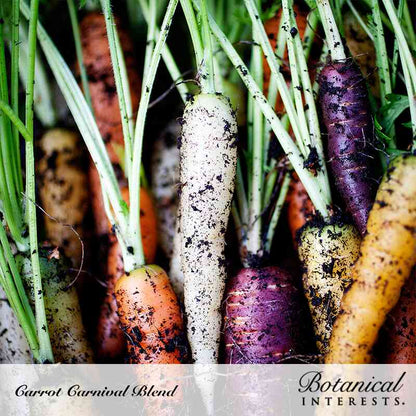 Carnival Blend Carrot Seeds