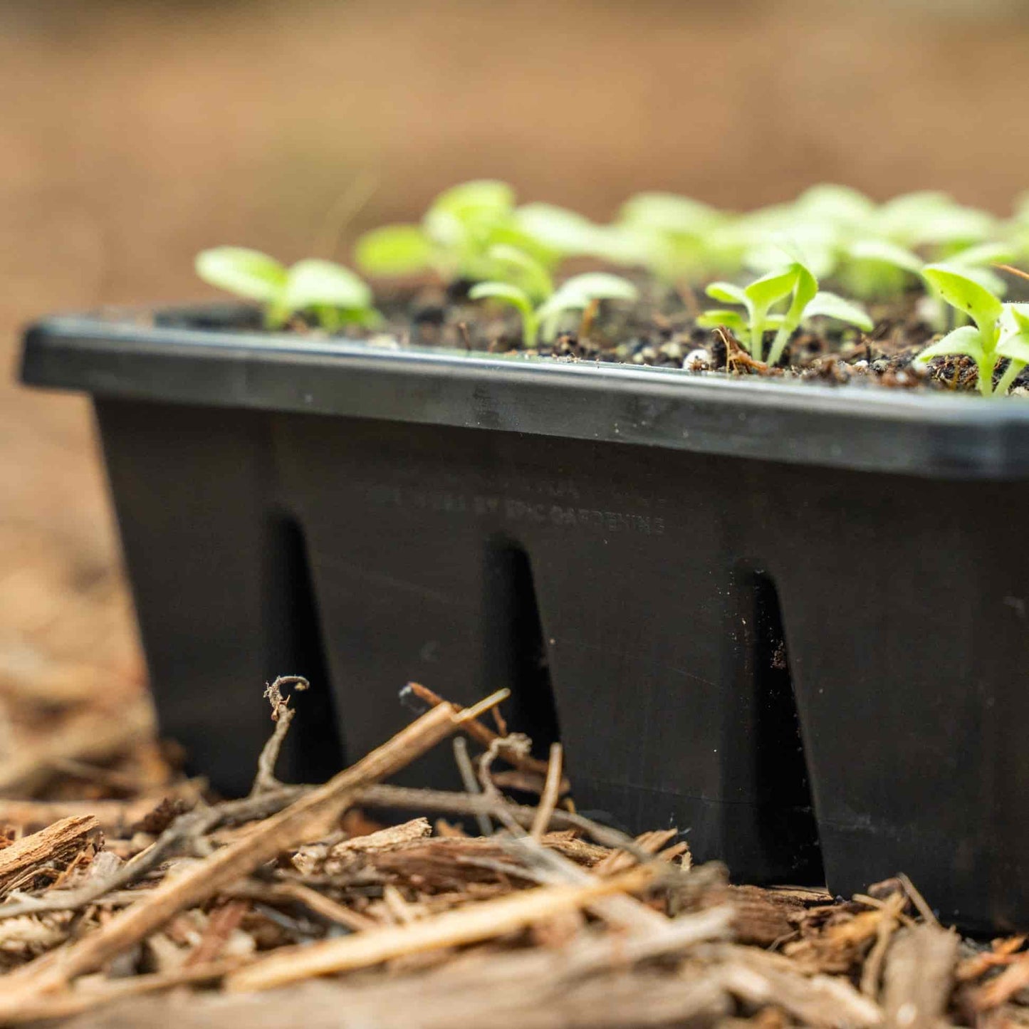 Epic 16-Cell Seed Starting Trays