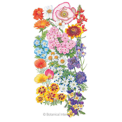 Three-Season Bloom Flower Mix Seeds