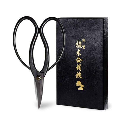 Traditional Bonsai Scissors 7"