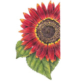 Evening Sun Sunflower Seeds