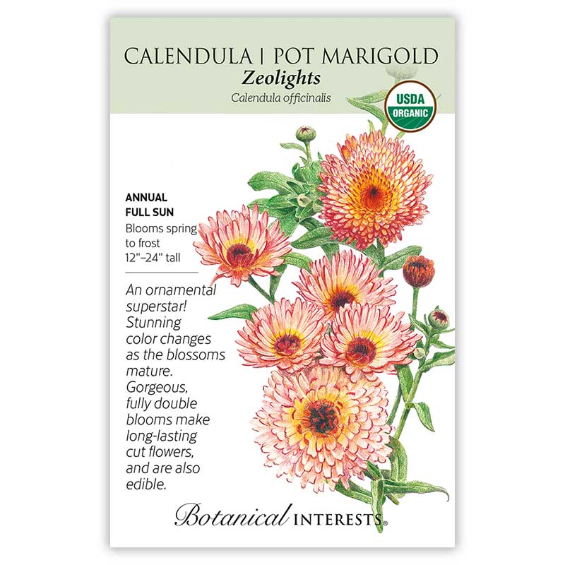 planting pot marigold seeds Zeolights Calendula (Pot Marigold) Seeds