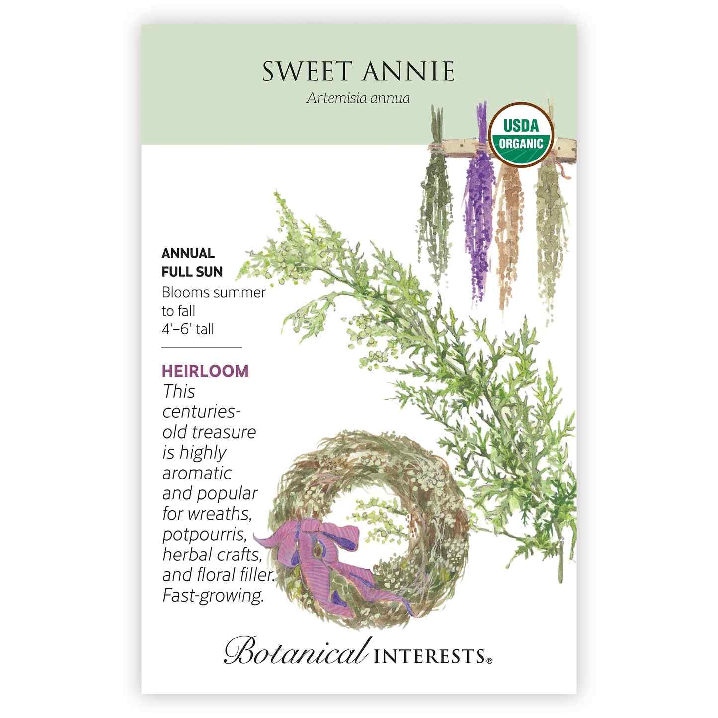 sweet annie plant seeds Sweet Annie Seeds | Flower Seeds | Heirloom Flower Seeds | Botanical Interests