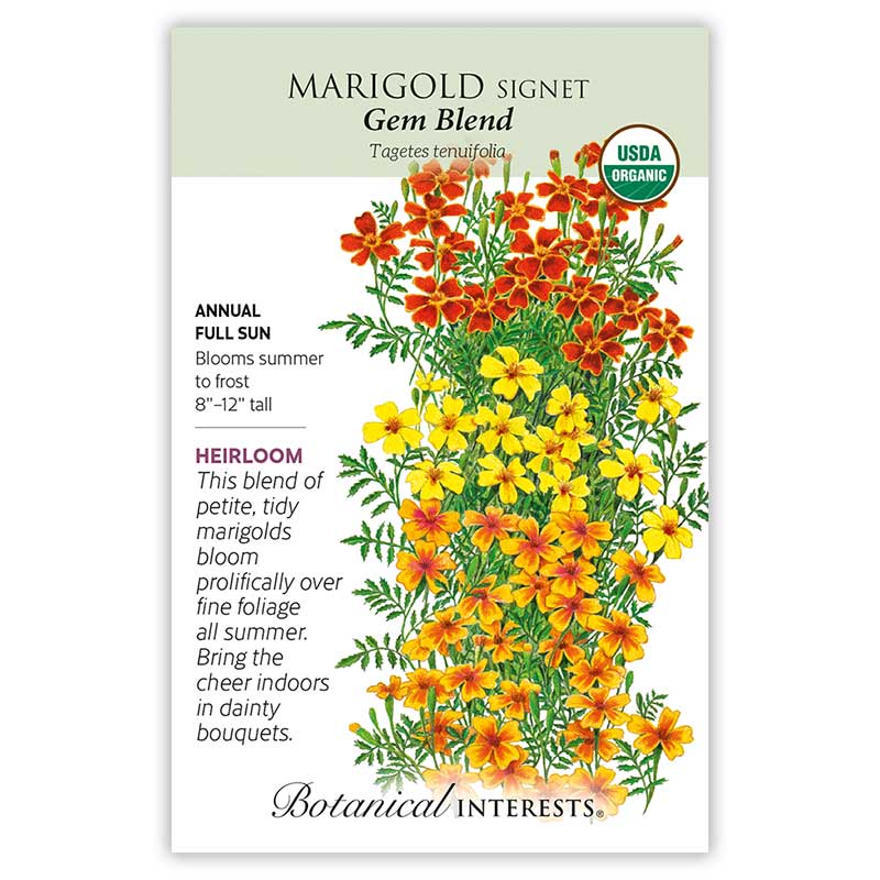 Gem Blend Signet Marigold Seeds Product Image