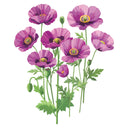 Hungarian Blue Bread Seed Poppy