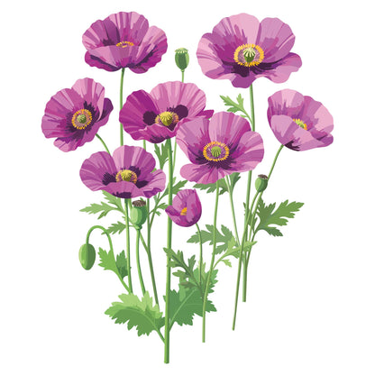 Hungarian Blue Bread Seed Poppy