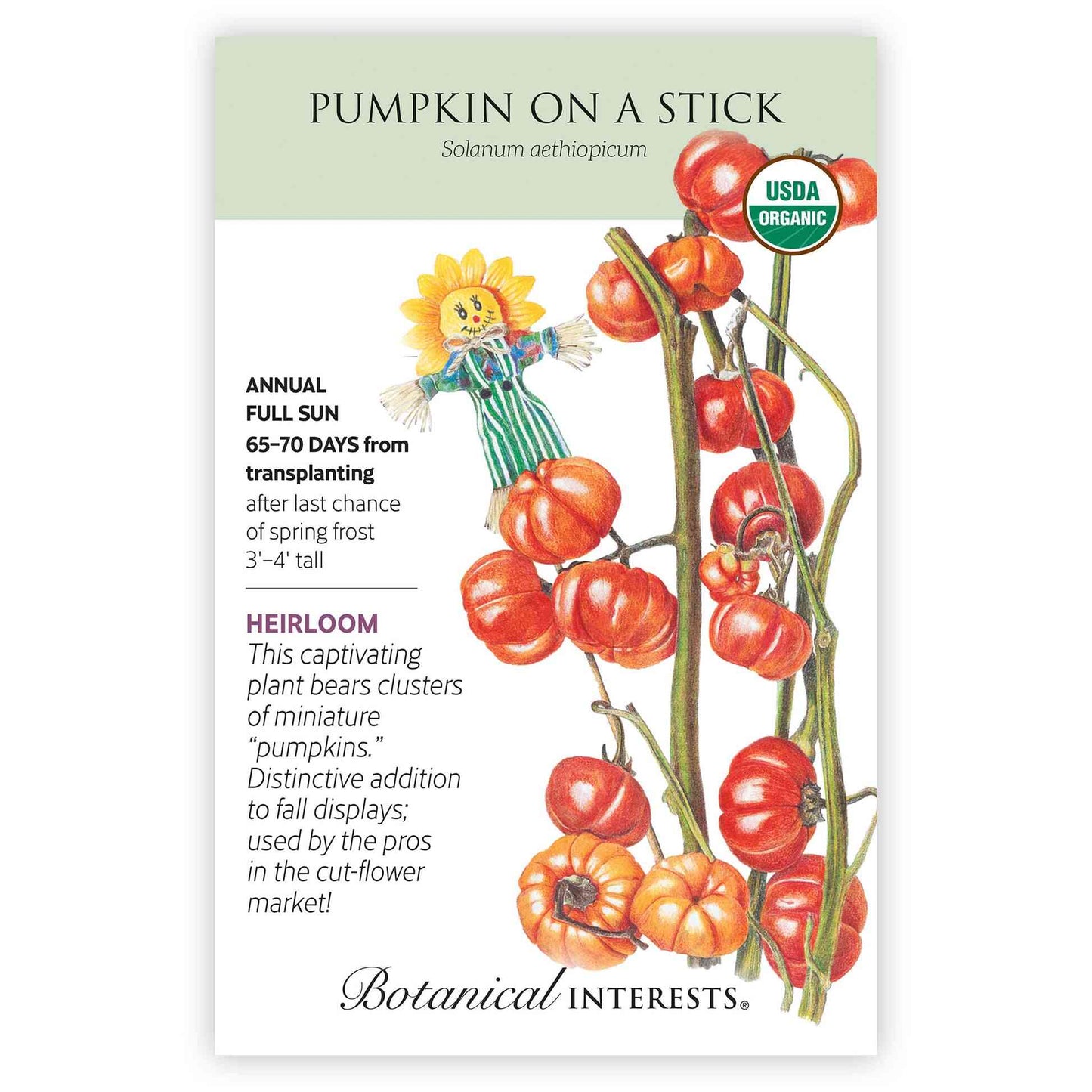 plant pumpkin seeds in october Pumpkin on a Stick Seeds – Epic Gardening