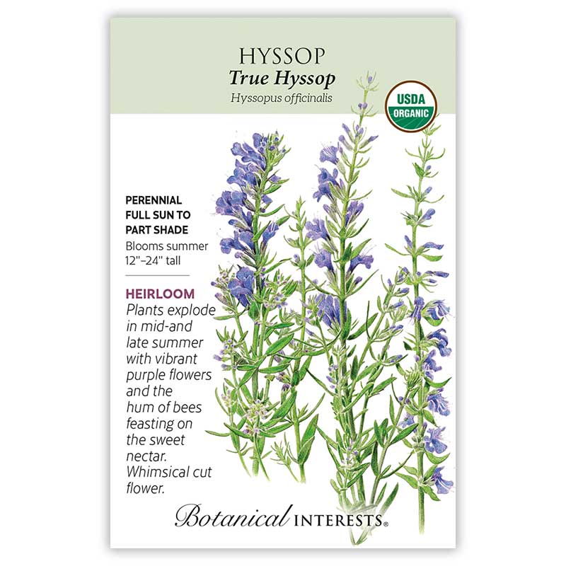 True Hyssop Seeds