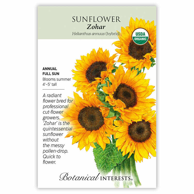 where to buy sunflower seeds to plant near me Zohar Sunflower Seeds