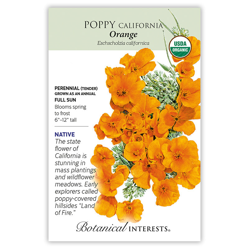 Western Glide Butterfly Gift Set