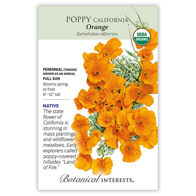 orange poppy seeds for planting Orange California Poppy Seeds