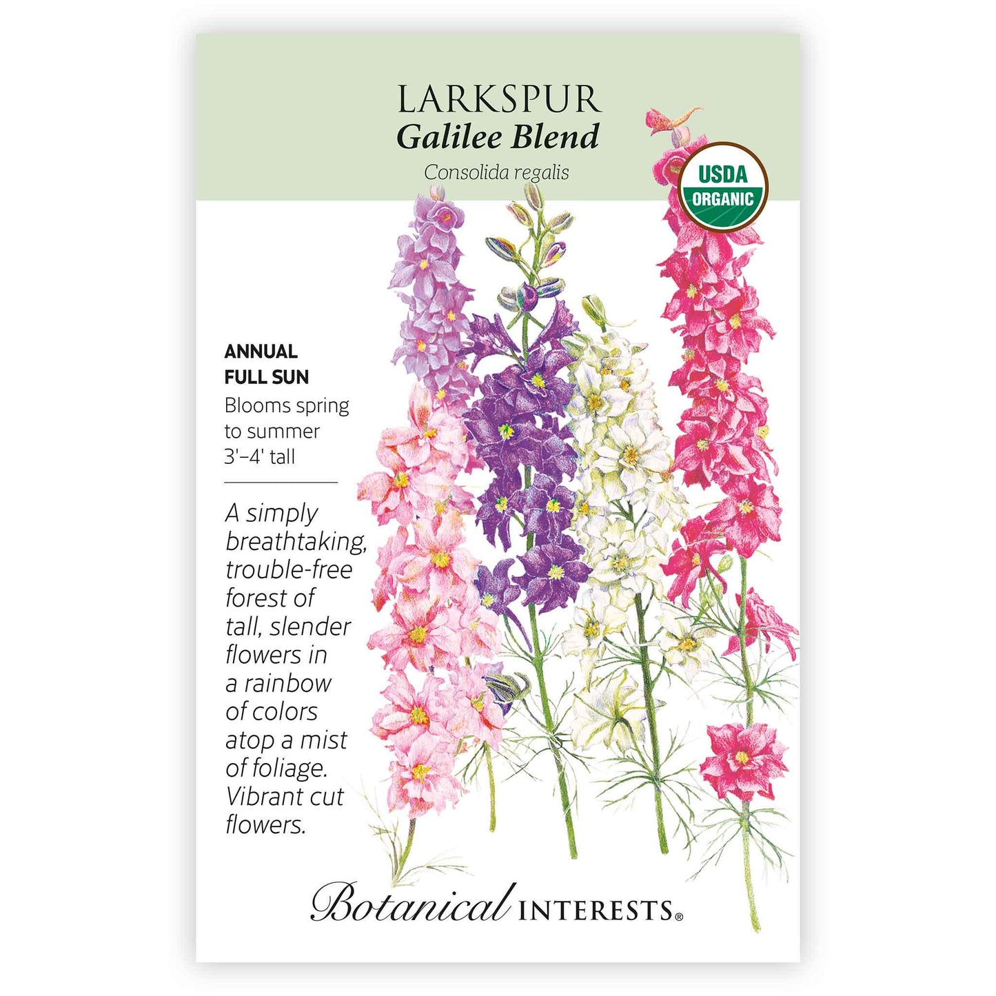 Galilee Blend Larkspur Seeds