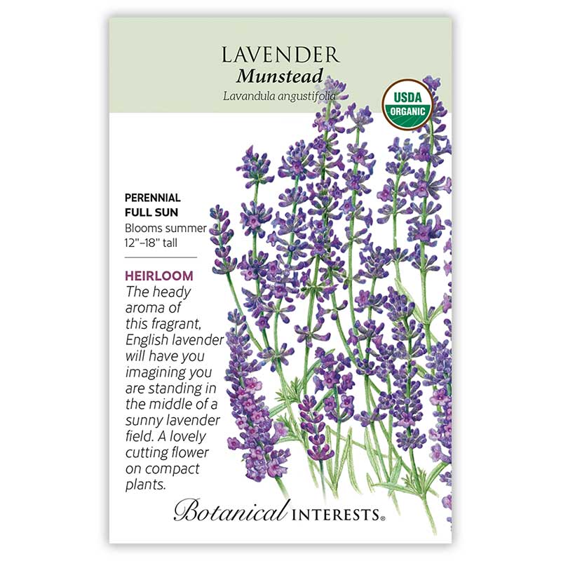 lavender seed mat Munstead Lavender Seeds