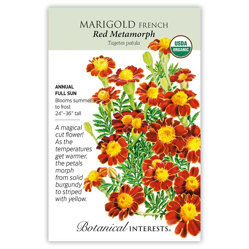 marigold varieties seeds Marigold Seeds, Red Metamorph