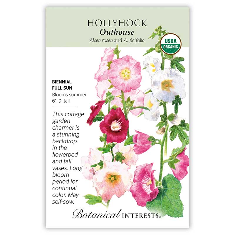 plant hollyhock seeds in august Outhouse Hollyhock Seeds – Epic Gardening