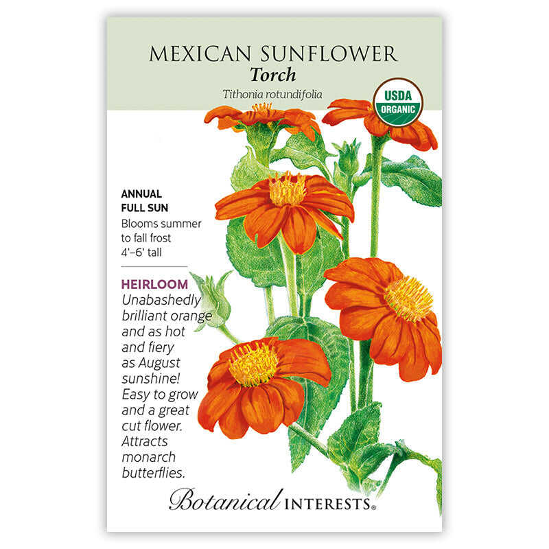 where to find torch flower seeds Torch Mexican Sunflower Seeds
