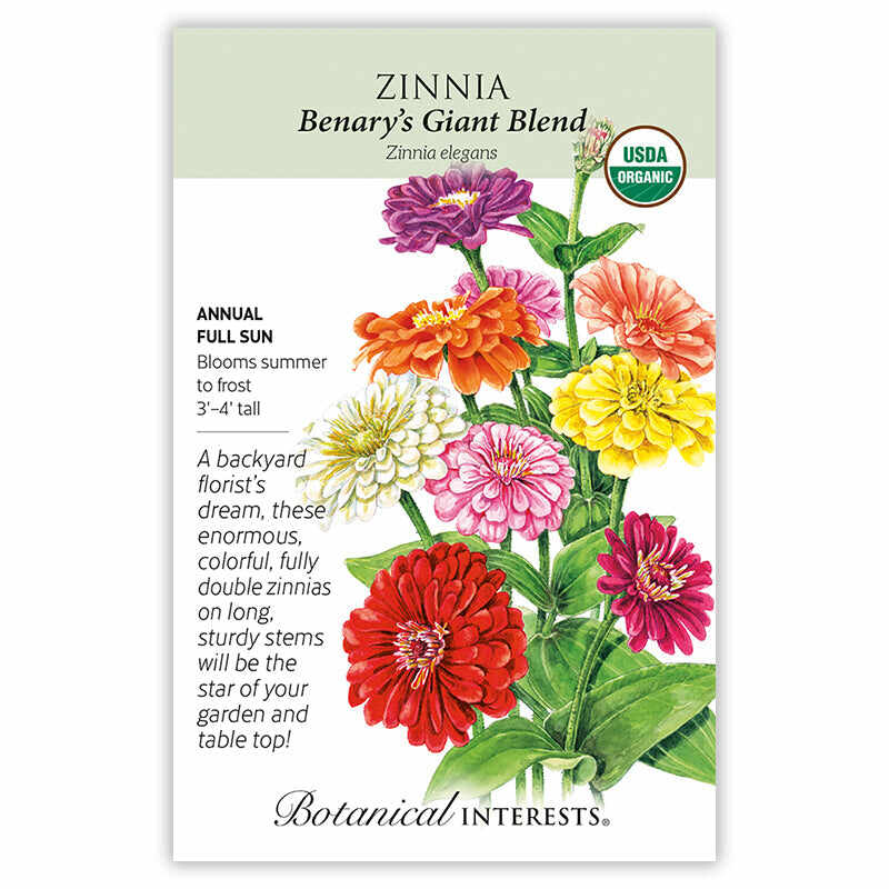 Benary's Giant Blend Zinnia Seeds