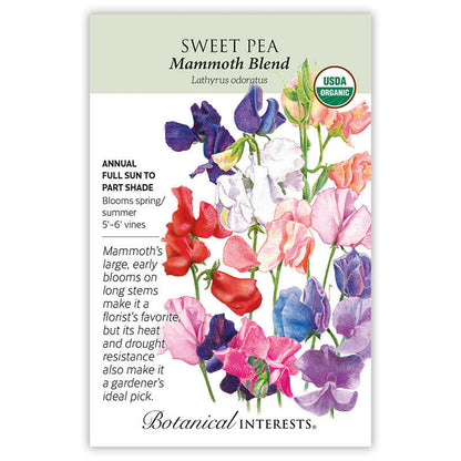 Mammoth Blend Sweet Pea Seeds