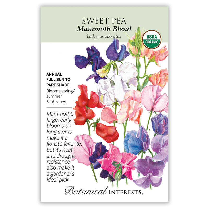 sweetpea flower seeds Botanical Interests, Sweet Pea, Mammoth