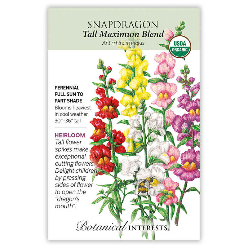 snapdragon flower from seed Tall Maximum Blend Snapdragon Seeds